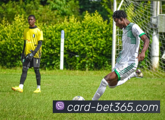 bet365APP 体育赛事宣传图